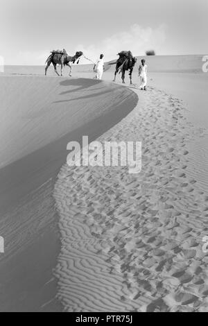 Rajasthani Männer mit Kamelen in der Wüste. Stockfoto