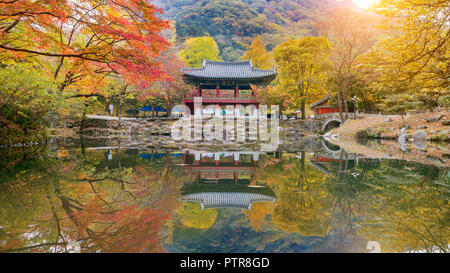 Baekyangsa Naejangsan Tempels im Herbst, Park in Südkorea. Stockfoto