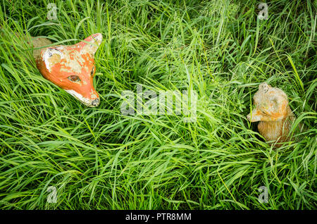 Zierpflanzen Fox und Bub teilweise von ungeschnittenem Gras in einem Garten versteckt in Großbritannien Stockfoto