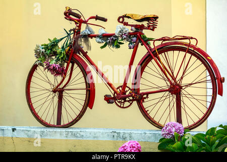 Red Bike mit Blumen Stockfoto