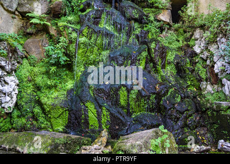 Das Wasser fällt auf eine Felswand Stockfoto