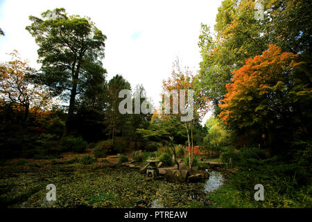 Herbst im Sir Thomas und Lady Dixon Park in South Belfast, 10. Oktober, 2018. Die Jahreszeit zwischen Sommer und Winter, während der das Wetter kühler wird und viele Pflanzen werden schlafende, die sich in der nördlichen Hemisphäre von der Herbst-tagundnachtgleiche der Wintersonnenwende und im Volksmund als die Monate September, Oktober und November; fallen. In der Südlichen Hemisphäre Herbst umfasst März, April und Mai. Eine Zeit der Reife grenzt auf Rückgang. Sir Thomas und Lady Dixon Park war, vermachte der Menschen in Belfast 1959 durch Frau Edith Stewart Dixon und war d Stockfoto