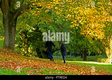 Herbst im Sir Thomas und Lady Dixon Park in South Belfast, 10. Oktober, 2018. Die Jahreszeit zwischen Sommer und Winter, während der das Wetter kühler wird und viele Pflanzen werden schlafende, die sich in der nördlichen Hemisphäre von der Herbst-tagundnachtgleiche der Wintersonnenwende und im Volksmund als die Monate September, Oktober und November; fallen. In der Südlichen Hemisphäre Herbst umfasst März, April und Mai. Eine Zeit der Reife grenzt auf Rückgang. Sir Thomas und Lady Dixon Park war, vermachte der Menschen in Belfast 1959 durch Frau Edith Stewart Dixon und war d Stockfoto