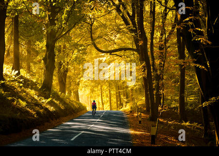 Die Firma Bowland, Lancashire, UK. 10. Oktober, 2018. Ein einsamer Radfahrer genießt eine der wärmsten Herbsttönen. Oktober tagen in 100 Jahren. Credit: Stephen Fleming/Alamy leben Nachrichten Stockfoto