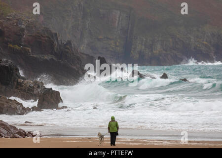 Süßwasser-Ost, Pembrokeshire, Wales, 11 Uhr Oktober 2018. UK Wetter: Nass stürmisches Wetter beginnt für schwere See mit Sturm Callum für eine stürmische Wochenende voran zu stellen. Pembrokeshire, Wales. Ein einsamer Hund Walker mit ihren Husky trotzen den nassen und windigen Wetter an der Küste, wie Wellen in der Küstenlinie bei Süßwasser-Ost, Pembrokeshire © DGDImages/AlamyNews Stockfoto