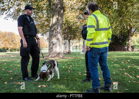 Windsor, Großbritannien. 11. Oktober, 2018. Ein Polizei Sauganlegerhundes im Windsor Great Park als Teil der Vorbereitungen am Vorabend der Hochzeit von Prinzessin Eugenie, Enkelin der Queen's verwendet wird, und ihr Freund von rund sieben Jahren Jack Brooksbank. Credit: Mark Kerrison/Alamy leben Nachrichten Stockfoto