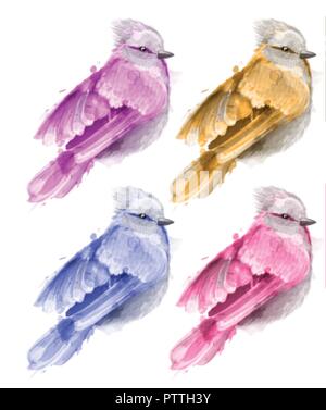 Bunte Aquarelle kleiner Vogel Vektor. schönes Bild gemalt Stil Stock Vektor