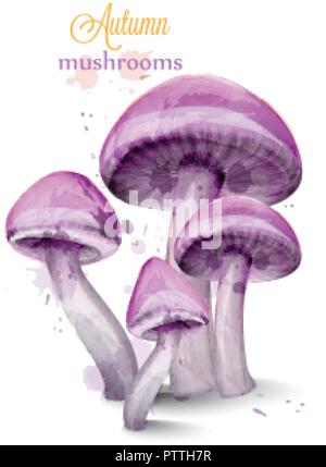 Lila Pilze aquarell Vektor isoliert auf weißem Hintergrund Stock Vektor