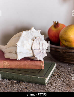 Seashell auf Gegengezeichnet Bücher mit Granatapfel Stockfoto