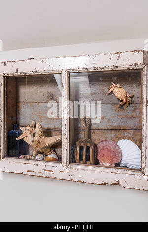 Seashells, Flasche und Bojen in glas Vitrine Stockfoto