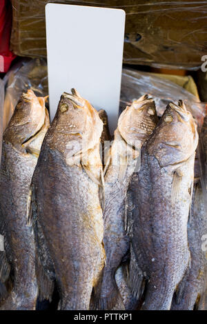 Fische auf den Märkten der westlichen Hong Kong mit leeren Preis, Sheung Wan, Hong Kong, China Stockfoto