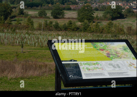 Diamond Jubilee Holz in Caen Hill Flug, Kennet und Avon, Devizes, Wiltshire, Großbritannien Stockfoto