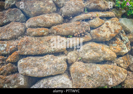 Trockene bemoosten stein Wand Textur Hintergrund. Braun stein Mauern der alten, verlassenen Haus, werden die Steine mit Moos und Flechten bedeckt. Stockfoto