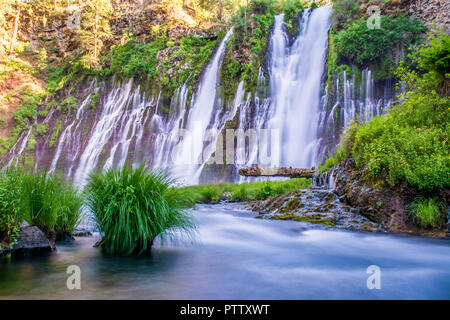 Burney Falls Memorial State Park, Kalifornien Stockfoto