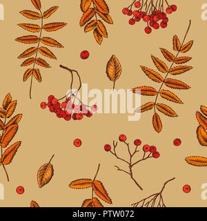 Vektor nahtlose Muster von vogelbeeren. Hand Vector Illustration gezeichnet Stock Vektor