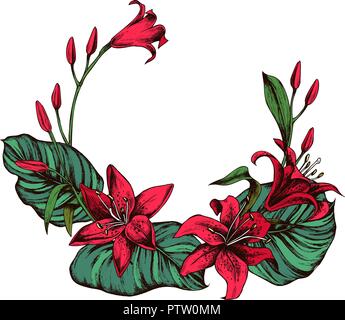 Hand gezeichnet Abbildung: Lilien. Sehr detaillierte Vektor Skizze Stock Vektor