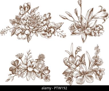 Vektor Sammlung von Hand gezeichneten Herbst Blumen Stock Vektor