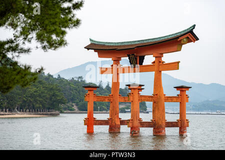 Die 'Itsukushima Jinja' Schrein schwimmende Torii Tor vor der Küste der Insel Miyajima, Hatsukaichi Stadt, Präfektur Hiroshima, Japan Stockfoto