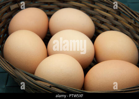 Frische braune Eier sitzt in einem braunen geflochtenen Korb Stockfoto