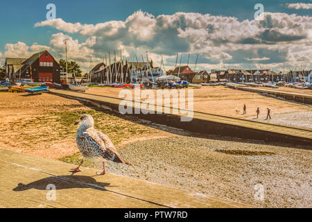 Eine Möwe mit einem Schatten Spaziergang auf einem Holzbalken in den Vordergrund der Landschaft Bild von Whitstable, Kent, Großbritannien, Strand und Steg. Stockfoto