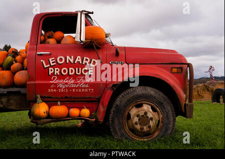 Alte Tieflader mit Kürbissen zu einem Pumpkin Patch mit jungen Mädchen spielen auf Heu geladen. Stockfoto