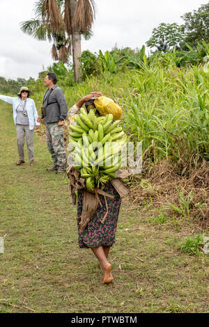 Puerto Miguel, Peru, Südamerika. Ältere Frau, die eine Charge von wegerich bereit, auf den Markt zu bringen, in dem Fischerdorf Puerto Miguel. (Für Stockfoto