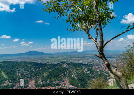 Überblick über Brasov Stadt gesehen von Tampa Mountain, Brasov, Rumänien. Stockfoto