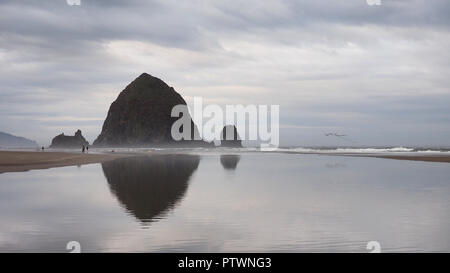 Haystack Rock spiegelt sich in der Tide Pools von Cannon Beach, Oregon bei extremer Ebbe an einem bewölkten Morgen. Stockfoto