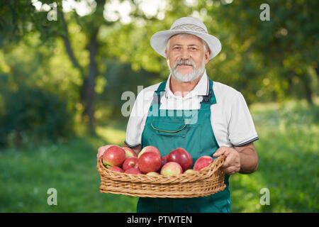 Mann mit dem grauen Haar auf Kamera und mit der Ernte. Alter Bauer Holding Korb voller Red Delicious äpfel und im Garten posing Bärtigen. Gärtner tragen Farmer's Hut. Stockfoto