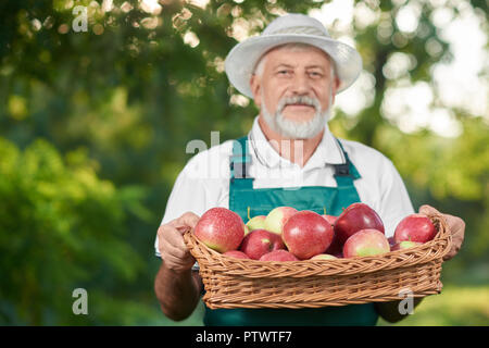 Alter Bauer Holding Korb voller Red Delicious äpfel und im Garten posing Bärtigen. Mann mit dem grauen Haar auf Kamera und mit der Ernte. Gärtner tragen Farmer's Hut. Stockfoto