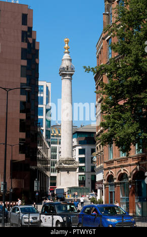 Das Denkmal oder Denkmal für den großen Brand von London ist eine dorische Säule und wurde zwischen 1671 und 1677 errichtete Große Feuer von London zu gedenken. Stockfoto