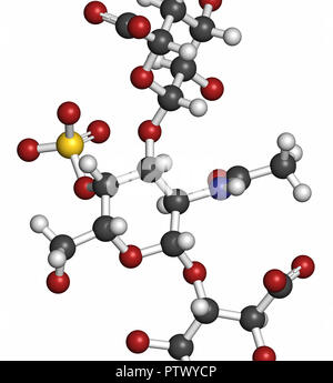 Chondroitin Sulfat (kurze Fragment). Wichtiger Bestandteil des Knorpels. Als diätetische Ergänzung in der Behandlung von Arthrose. 3D-Rendering. Atom Stockfoto