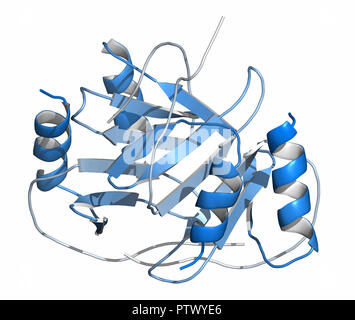 Plättchenfaktor 4 (PF-4) chemokine Protein. 3D-Rendering, cartoon Darstellung. N-to-C-gradient Färbung. Stockfoto