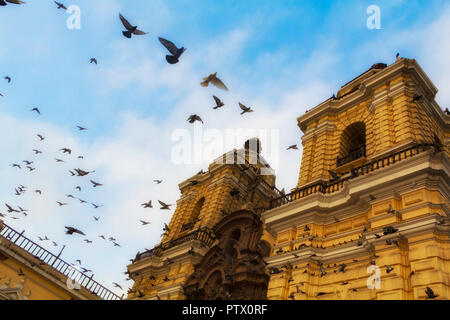 Eine Taubenschar fliegt in Kreisen gegen einen blauen Himmel um die San Francisco Church in Lima, Peru, eine zweifache Kathedrale mit Glockenturm, die gelb gestrichen ist. Stockfoto
