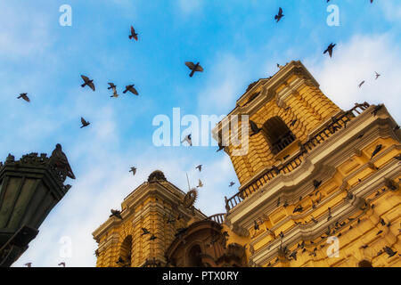 Eine Taubenschar fliegt in Kreisen gegen einen blauen Himmel um die San Francisco Church in Lima, Peru, eine zweifache Kathedrale mit Glockenturm, die gelb gestrichen ist. Stockfoto