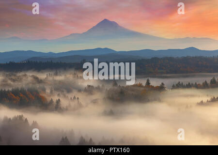 Mount Hood über Neblig Sandy River Valley Sonnenaufgang im Herbst Saison Stockfoto