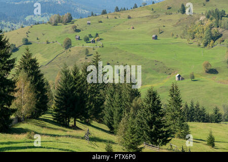 CAMPULUNG MOLDOVENESC, Siebenbürgen/Rumänien - 18. SEPTEMBER: in der Nähe von Farlmand Campulung Moldovenesc Siebenbürgen Rumänien am 18. September 2018 Stockfoto