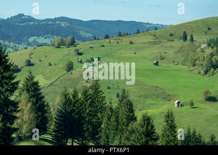 CAMPULUNG MOLDOVENESC, Siebenbürgen/Rumänien - 18. SEPTEMBER: in der Nähe von Farlmand Campulung Moldovenesc Siebenbürgen Rumänien am 18. September 2018 Stockfoto