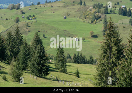 CAMPULUNG MOLDOVENESC, Siebenbürgen/Rumänien - 18. SEPTEMBER: Ackerland in der Nähe von Campulung Moldovenesc Siebenbürgen Rumänien am 18. September 2018 Stockfoto