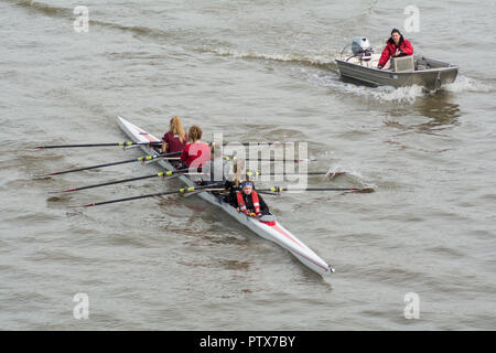 Eine Frau hat acht und ein Hilfsboot auf der Themse, Barnes, London, SW13, Großbritannien, gefahren Stockfoto