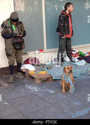 Straße die Menschen mit ihrem Hund in Brighton Stockfoto