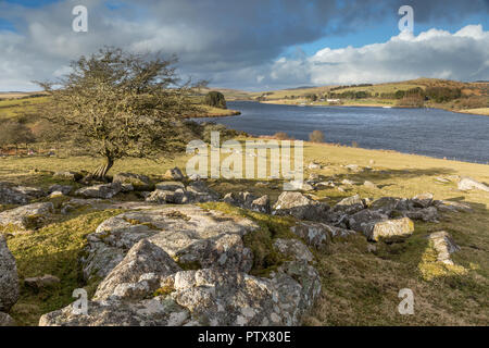 Einsamer Baum mit Blick auf Siblyback Reservoir, Cornwall Stockfoto