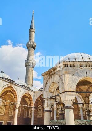 Arkadenhof der Sultan Ahmet Camii Moschee, auch kknown wie die Blaue Moschee, die mit der Waschung Brunnen im Vordergrund. Istanbul, Türkei. Stockfoto