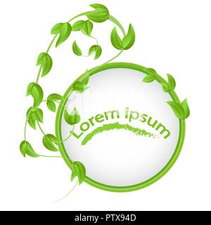 Runden Rahmen von Filialen mit frischen grünen Blättern auf weißem Hintergrund Kopie Raum isoliert Stock Vektor