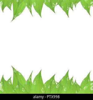 Vector green card Design auf weißem Hintergrund, Rahmen von grünen Blättern. Einladung zur Hochzeit Plakat, Einladung, Postkarte. Form für adverti Stock Vektor