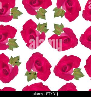 Nahtlose florales Muster mit roten Rosen und grünen Blättern im Vektor, Drucken für Tapeten Kleidung auf weißem Hintergrund Stock Vektor