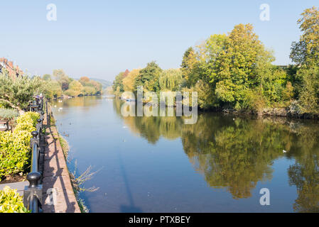Herbst Farbe am Ufer des Flusses Severn in Bad Salzungen, Worcestershire, Großbritannien Stockfoto