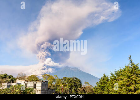 Am frühen Morgen Eruption des Vulkans Fuego neben Acatenango Vulkan in der Nähe von Antigua, Guatemala, Mittelamerika Stockfoto