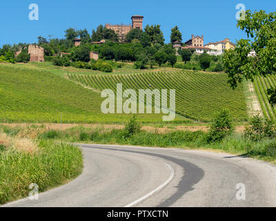 Weinberge am Gabiano, Alessandria, Monferrato, Piemont, Italien. Sommer Landschaft