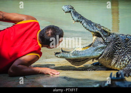 Samut Prakarn, Thailand - 25. März 2017: Junge und sein Team in der gefährlichen Krokodil zeigt. Riskante Krokodil zeigt in Crocodile Farm, einer der am meisten Impr Stockfoto